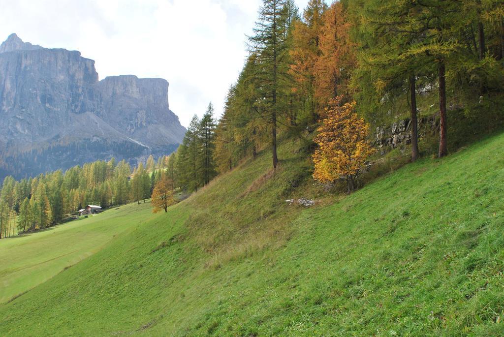 Aparthotel Garni Sirio Colfosco